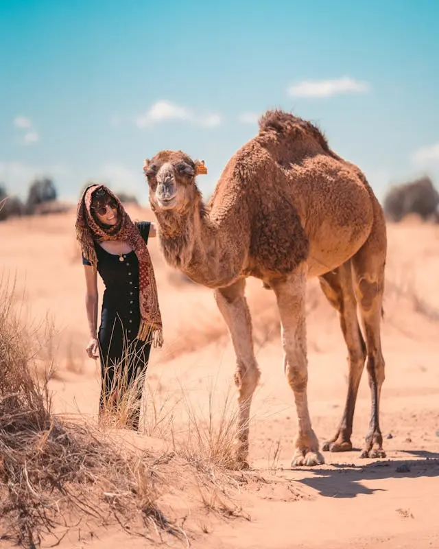 trip-favorite-elite-journeys-morocco